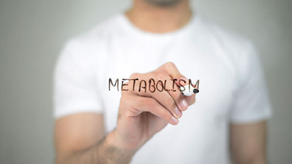 metabolism