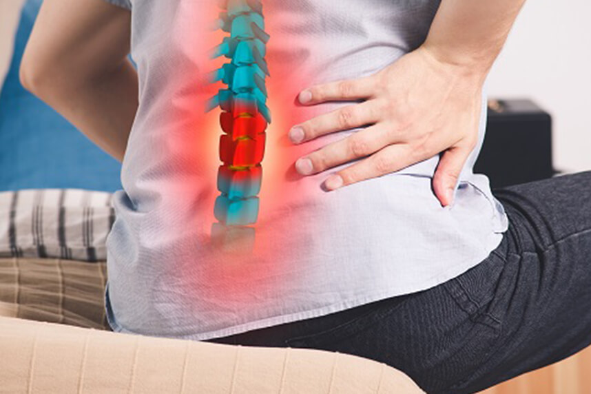 Study links back pain to a subtype of cells in spinal 'shock absorbers