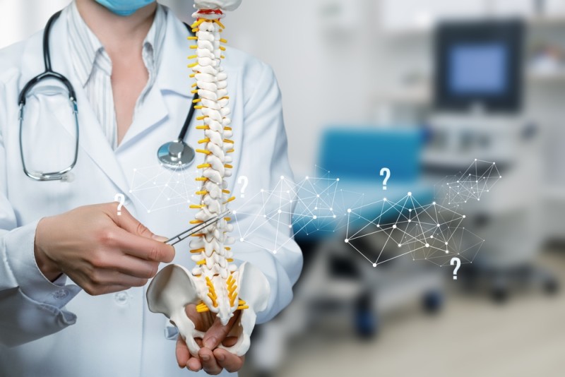 Medic prezinta un model anatomic al coloanei vertebrale